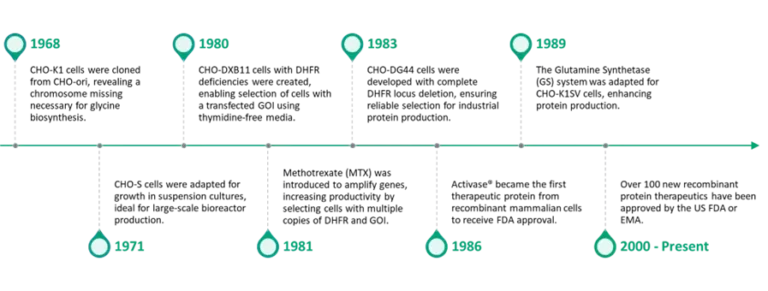 Addressing Challenges and Finding Solutions to Minimize Variability in Gene Expression
