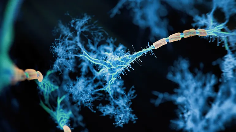 Biogen's Breakthrough Medication Paves the Way for Innovative Biotech Aiming at ALS Treatment