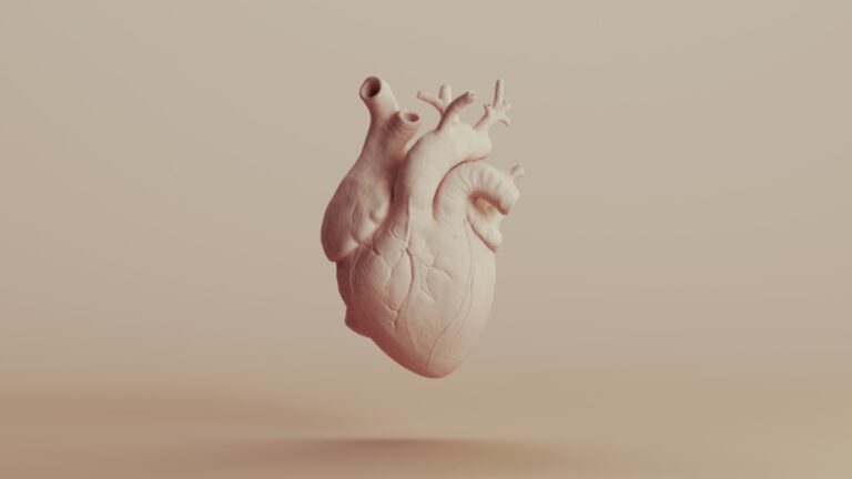 BridgeBio Receives FDA Green Light for ATTR-CM Medication, Igniting Rivalry with Pfizer