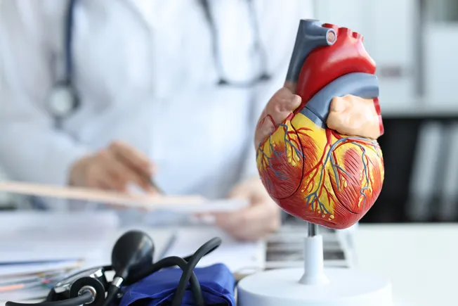 FDA Grants Approval for BridgeBio’s Heart Medication, Paving the Way for Competition with Pfizer