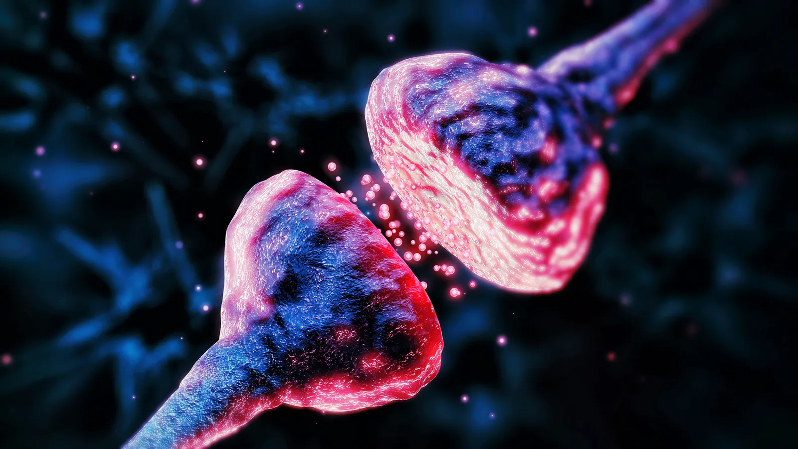 How Intra-Cellular Defied Expectations and Caught Wall Street Off Guard by Changing Its Approach