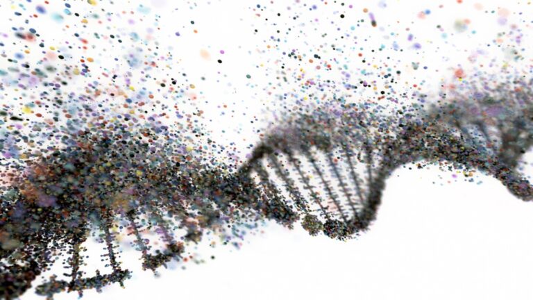 Regenxbio Prepares to Compete with Sarepta in DMD as Gene Therapy Progresses to Key Pivotal Trials