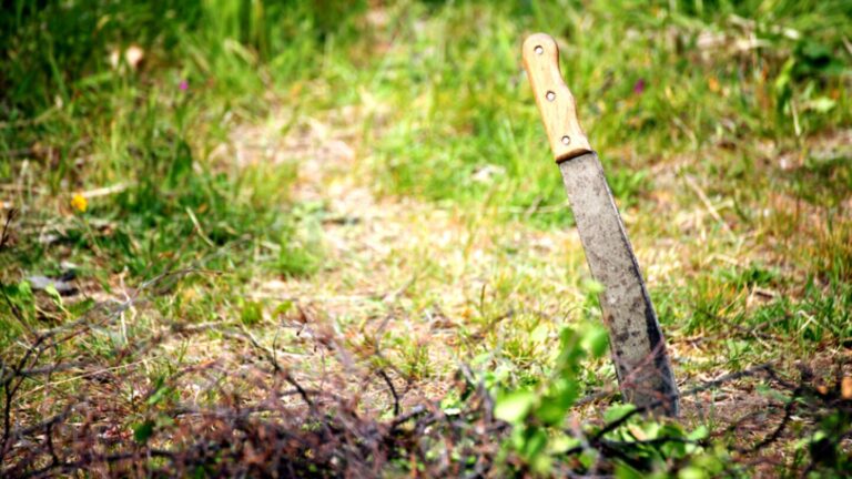 Insights from Humira: Addressing Unfair Drug Monopoly Extensions Through Effective Policy Measures