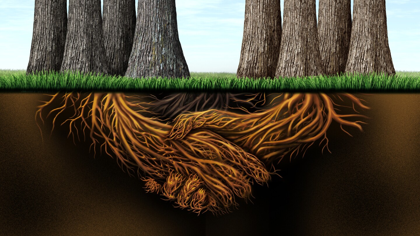 Longevity Biotech Launches on Nasdaq Following $180 Million SPAC Agreement