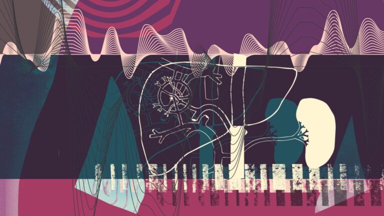Medical Professionals Might Manipulate the Nervous System Using Ultrasound Technology