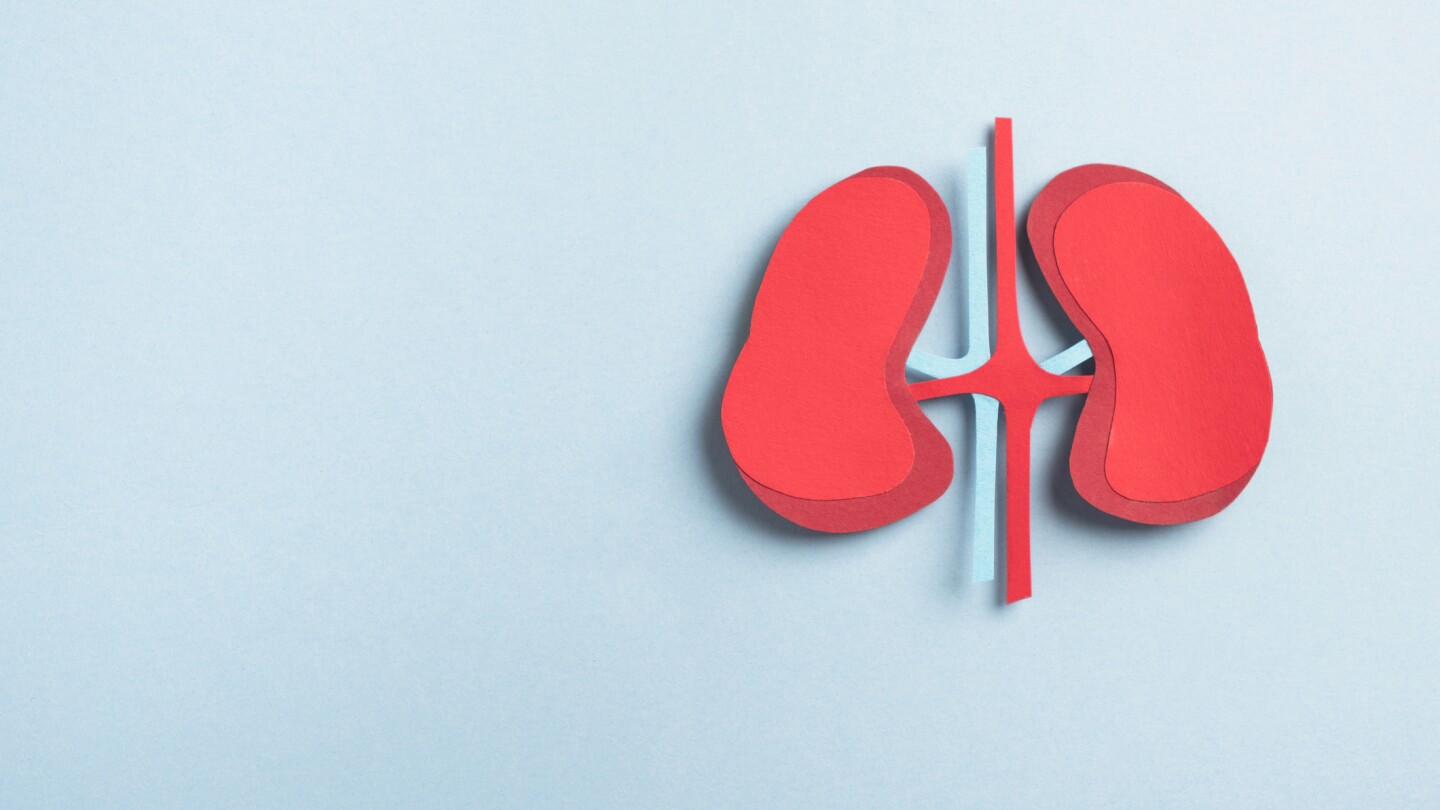 Hansa's Kidney Transplant Medication Shines in Phase III Trials, Moving Towards FDA Approval