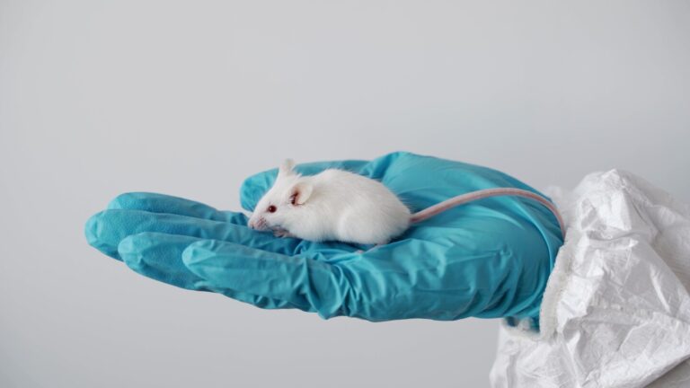 Are Animals Moving Aside? The Impact of NAMs on Game-Changing Regulations