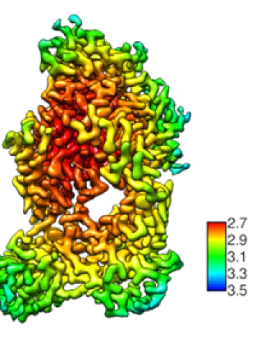 Shaping Tomorrow’s Biologics: A Deep Dive into the Evolution of Protein Engineering