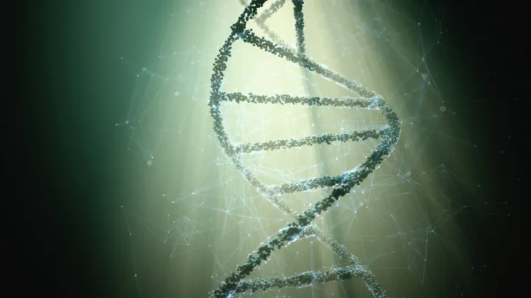 Sarepta’s Gene Therapy for DMD Prevents Disease Progression Three Years Post-Treatment