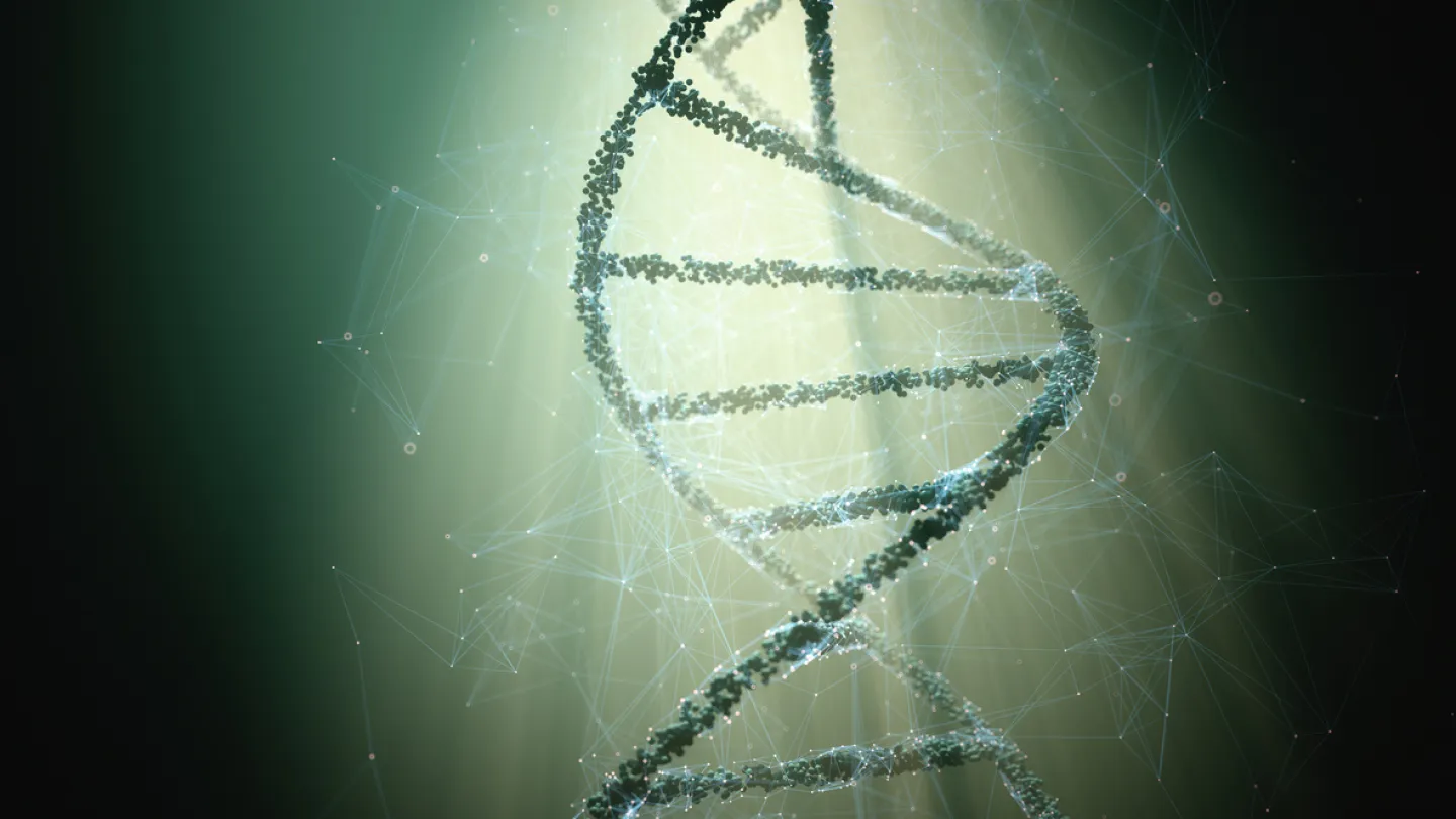 Sarepta's Gene Therapy for DMD Prevents Disease Progression Three Years Post-Treatment