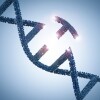 Beam’s Base Editing Technology Reaches Key Milestone Fueled by ‘Remarkable’ AATD Research Findings