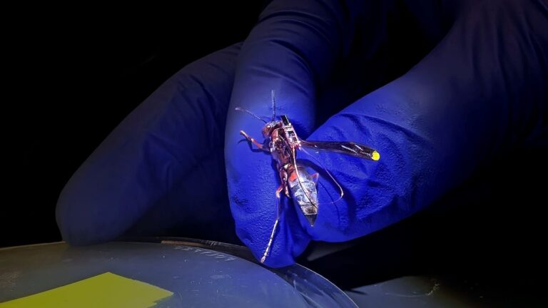 This RF Tag Weighs Less Than a Single Dewdrop