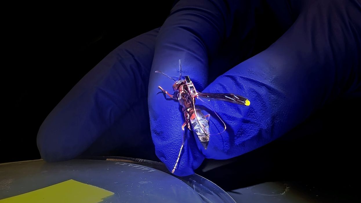 This RF Tag Weighs Less Than a Single Dewdrop