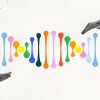 FDA Enhances Customized Treatment Framework with Updated Draft Safety Guidelines