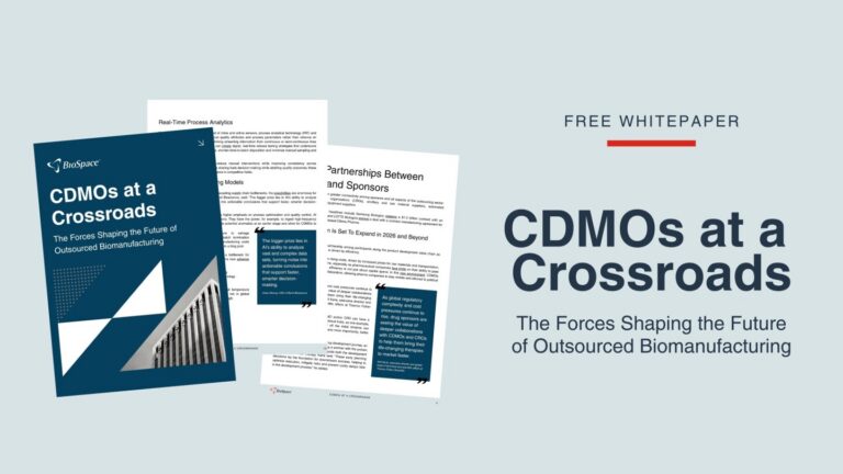 White Paper: CDMOs Facing a Pivotal Junction