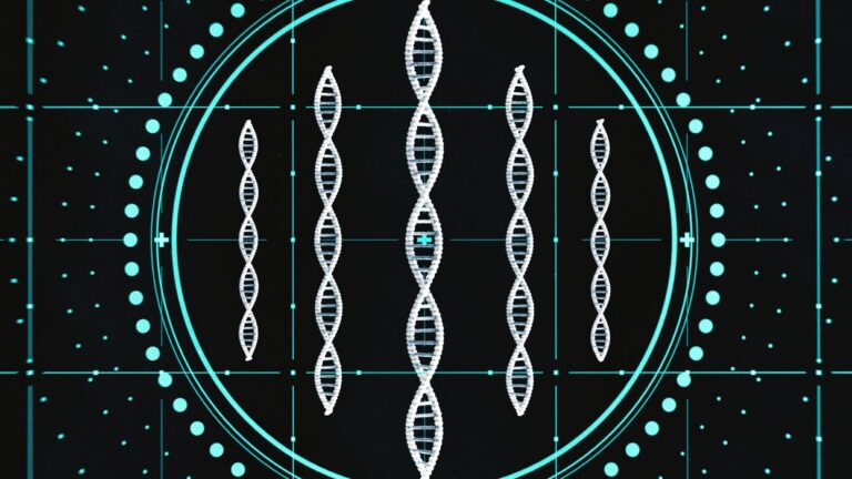 Accelerated DNA Synthesis Significantly Reduces Time for Creating New Genetic Sequences