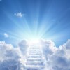 Could Revolution Be the Upcoming Leader in Oncology? Truist Analysts Present Their Arguments