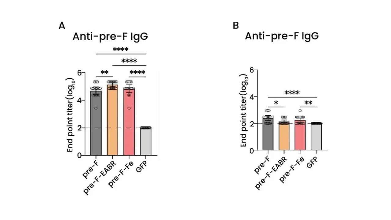 Progress in the Research and Development of RSV Vaccines