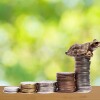 While Pfizer’s Potential Unfolds in 2029, Q126 Sets the Stage for Future Expansion