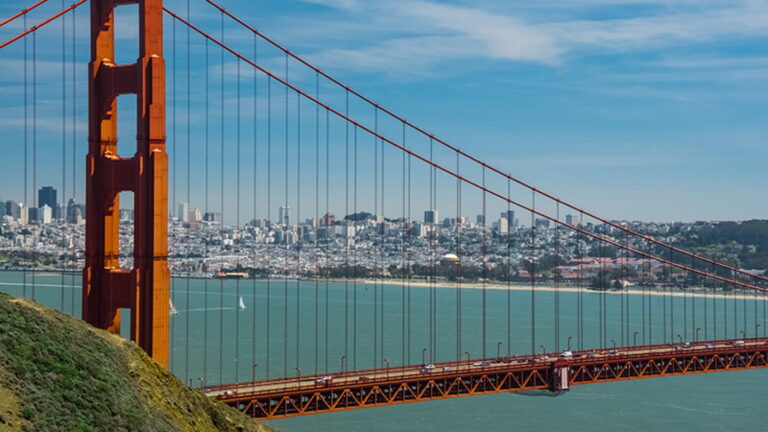 10 Organizations Seeking Employees in San Francisco, South San Francisco (along with some in Brisbane, San Rafael)