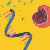 City Therapeutics Secures $99.5M in Series B to Develop RNAi Pipeline