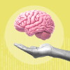 Merck Halts Alzheimer’s Research, Compounding Challenges for Partner Neuphoria