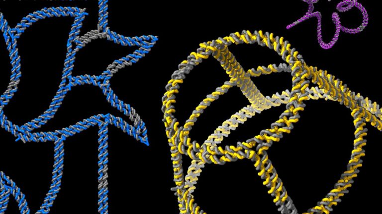 This AI Constructs DNA Into Small Wonders